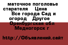 маточное поголовье старателя  › Цена ­ 3 700 - Все города Сад и огород » Другое   . Оренбургская обл.,Медногорск г.